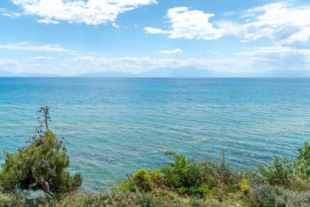 ネア・イラクリア Endless Sea View Houseヴィラ エクステリア 写真