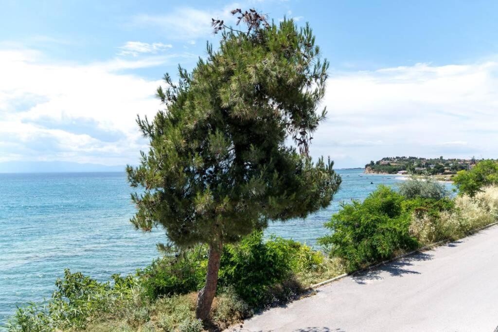 ネア・イラクリア Endless Sea View Houseヴィラ エクステリア 写真